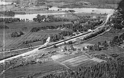 Tiesitkö, että… Osa 6