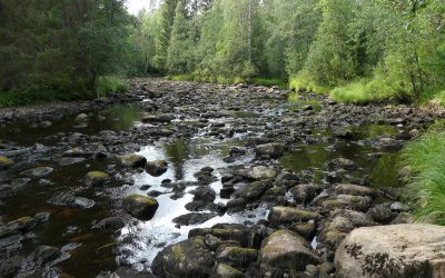 Hellekesä kuivatti kaivot