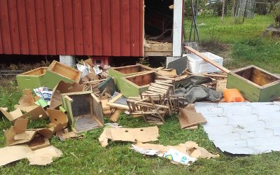 Tunkeileva karhu kaadettiin Petäjävedellä lauantaina