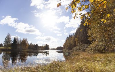 Petäjäveden luonnonsuojelualueet: Solikkosaari