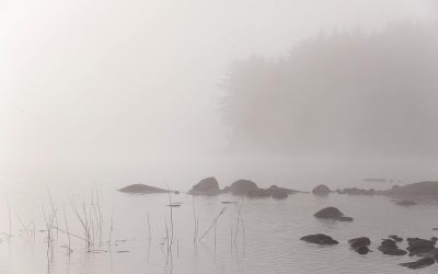 Freen pakina: Kaikki muuttuu