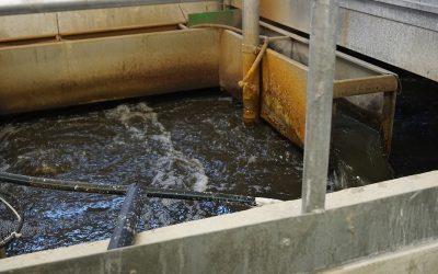 Vesilaitoksen hoitajan valinnasta valitettu (Vain tilaajille)