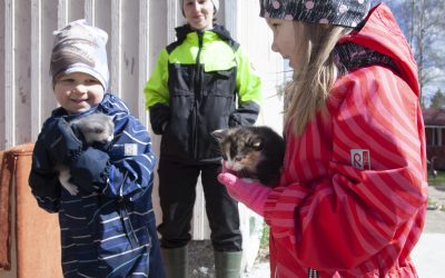 Maatilan eläimet tulivat tutuksi perhekerhon kevätretkellä Karjokoskella