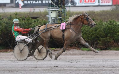 Polara matkaa Solvallaan – Elitkampen edessä sunnuntaina (Juttu vain tilaajille)