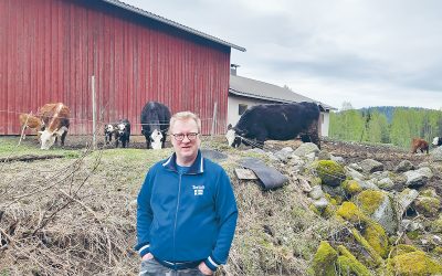 Koskinen kertoo pienen ihmisen tarinalla yhteiskunnasta