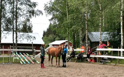 Hevosen hyvinvointi keskiössä (Juttu vain tilaajille)