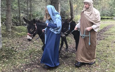 Joulun ajan musiikkikattaus Petäjäveden seurakunnassa
