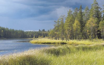 Etsi virkistystä lähiluonnosta