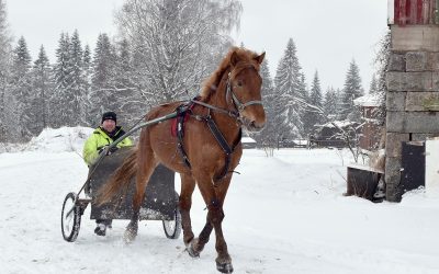Tupamäellä riittää valmennettavia (Juttu vain tilaajille)