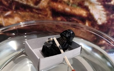 Koulut aukeavat koronan varjossa (Juttu vain tilaajille)