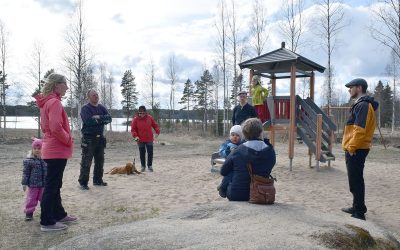 Kesälampaita Olkkolaan? (Juttu vain tilaajille)