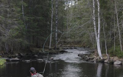 Kalastus jatkuu Könkköjoella