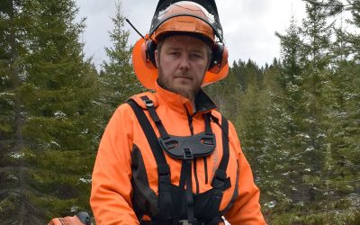 Pihapuiden kaato kiinnostaa uutta yrittäjää (Juttu vain tilaajille)