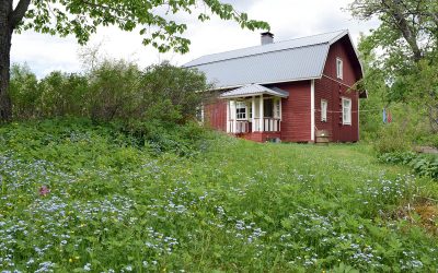 Pappalasta tuli kesäparatiisi (Juttu vain tilaajille)