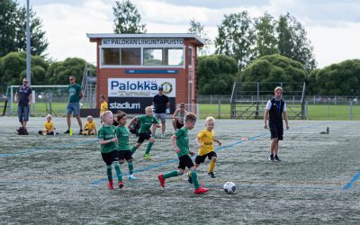Peliraportti: PetPet 2012/2013 Palokassa