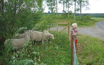 Olkkolan leikkipuiston rahoitus odottaa vahvistusta (Juttu vain tilaajille)