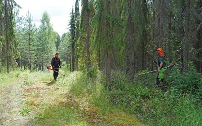 Kettulanvuoren ulkoilualue uusitaan (Juttu vain tilaajille)