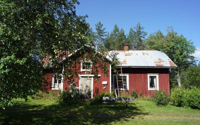 Pettuveen paras paikka: Tervanpolttoa “Imppulandiassa” (Juttu vain tilaajille)