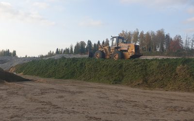 Syksyn viljasadossa isoja vaihteluita (Juttu vain tilaajille)