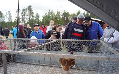 Kuvakooste: Hevosmiesten ja -naisten hyväntuulinen juhla tarjosi elämyksiä kaikille