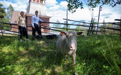 Vanhan kirkon säätiö voitti Keski-Suomen Vuoden maisemateko -kilpailun