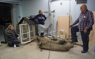 ”Ihminen saa tyydytystä, kun näkee kättensä jäljen” – Kovan kysynnän vuoksi puutyökursseja on nyt kaksi (Juttu vain tilaajille)
