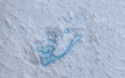 KSSHP:n alue on perustasolla Jyväskylää lukuun ottamatta