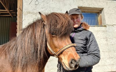 Tuulivoimapuiston toteutuessa Teija Mäkisen ratsutalli joutuu todennäköisesti lopettamaan