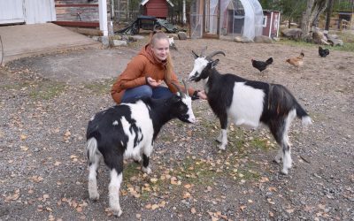 Eläinten kanssa hyvinvointia
